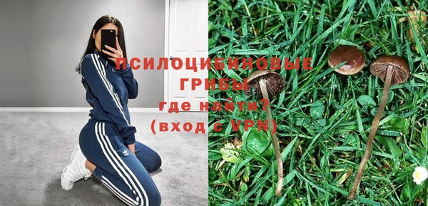 ECSTASY Алексин