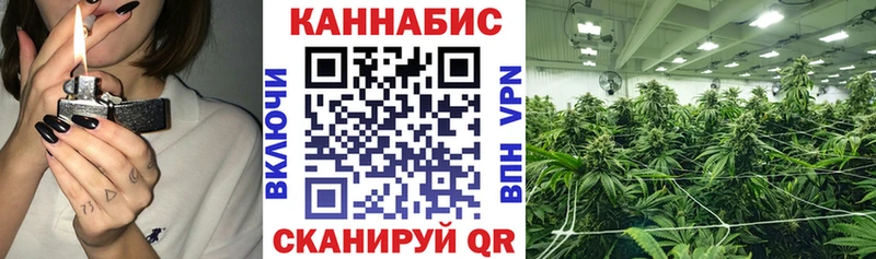 Бошки Шишки сатива  купить закладку  Еманжелинск 